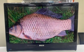 Телевизор Mystery MTV-2215WD