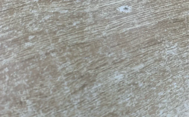 Iqos 3