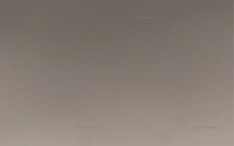 Apple iPhone 8 2/64 ГБ