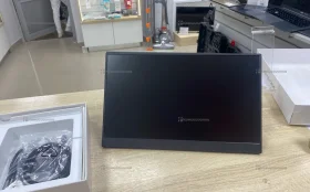 Portable monitor (IPs)