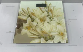 Купить Весы  vicoute б/у , в Набережные Челны Цена:250рублей