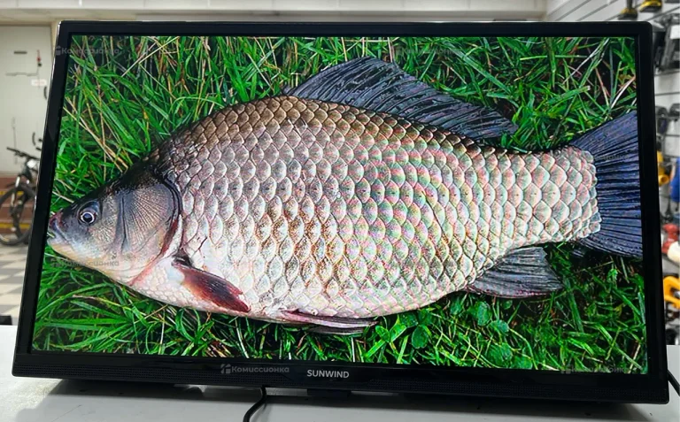 Телевизор Sunwind SUN-LED24XB203