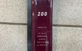 Лыжи Madshus 200 Новые