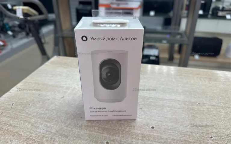 IP-камера Яндекс с Алисой