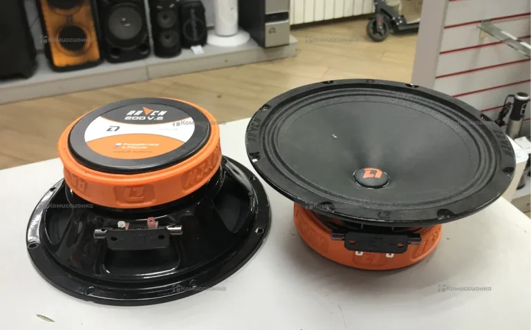 Динамики DL AUDIO RAVEN 200 V.2