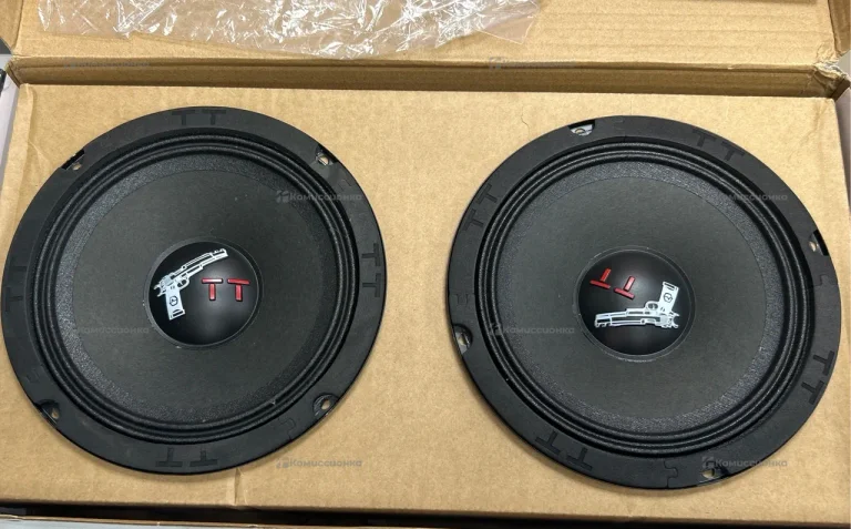 Автомобильные колонки Урал ТТ 165