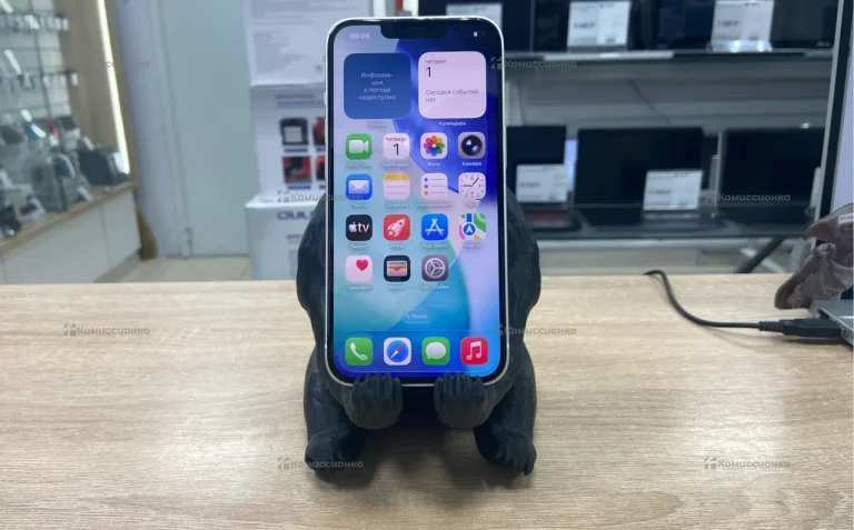 Apple iPhone 13 4/256 ГБ