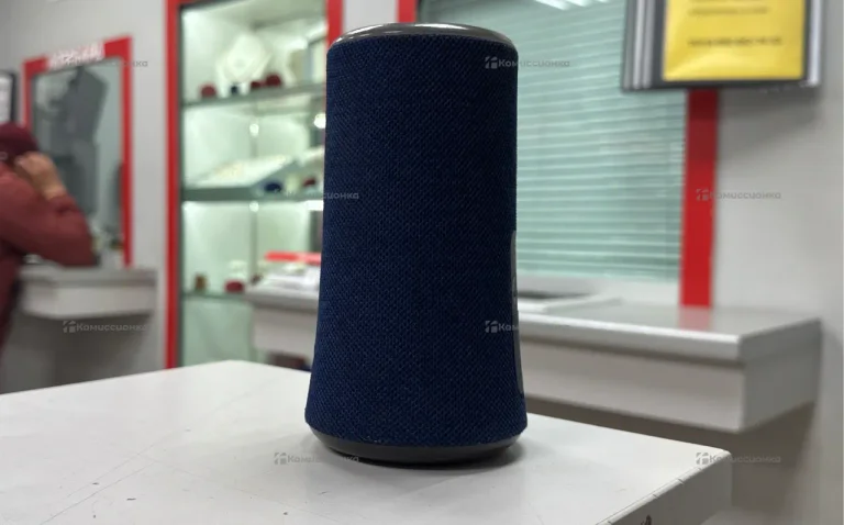 Колонка  SoundCore Flare 2