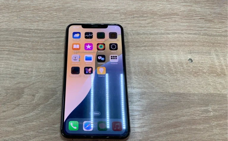 Apple iPhone XS Max 4/256 ГБ