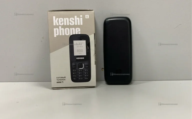 Kenshi mini 1