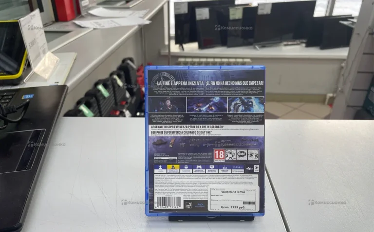 Sony PlayStation  PlayStation 4 диск  Wasteland 3