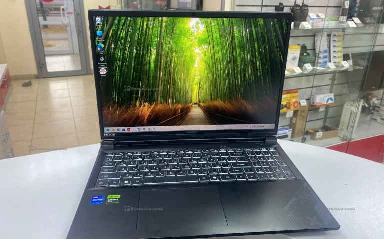 Ноутбук Gigabyte g6x