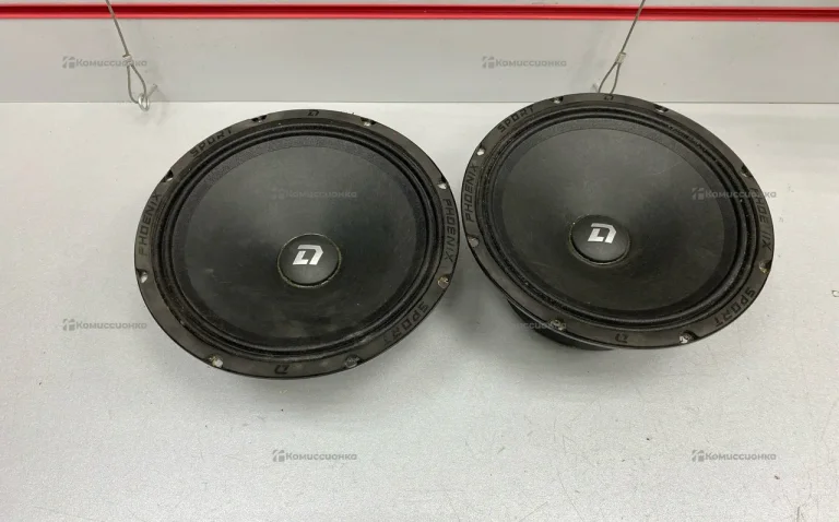 Колонки DL Audio Phoenix Sport 200