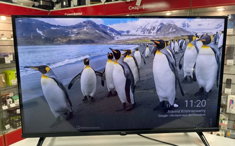 Телевизор TCL 32S65A