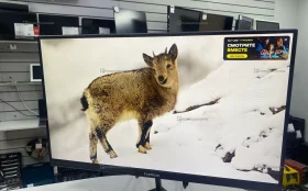 Купить Монитор EXEGate ep2400a б/у , в Тюмень Цена:3998рублей