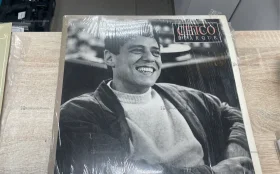 Виниловая пластинка