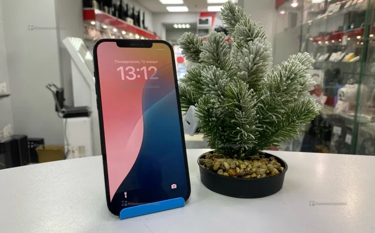 Телефон Apple iPhone 12 Pro Max 6/256 ГБ