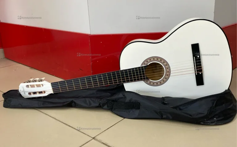 Гитара Belucci BC-3905