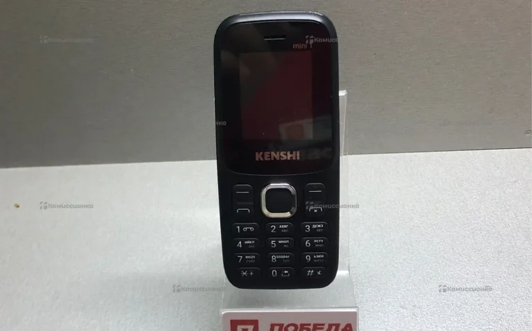 Kenshi mini 1