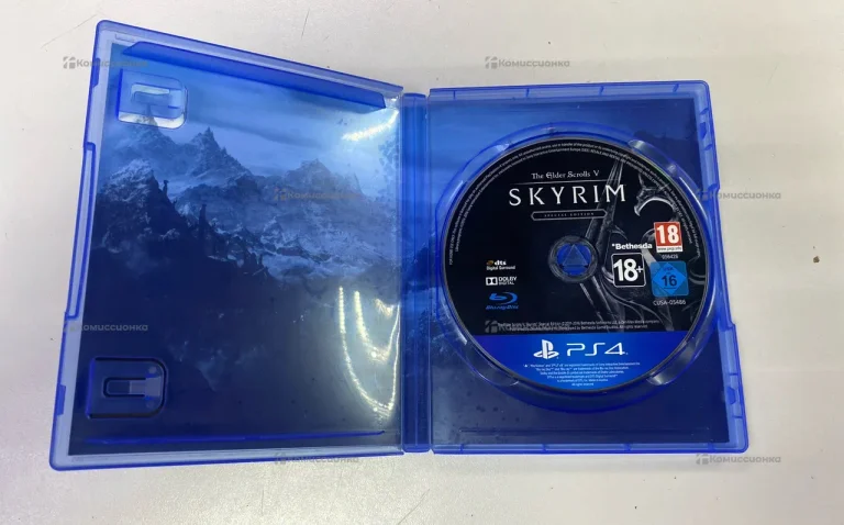 игра Skyrim