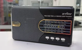 Купить Радиоприемник Aceline AR550 б/у , в Челябинск Цена:790рублей