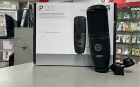 AKG p120