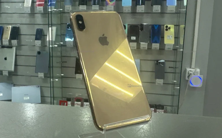 Xs max 256