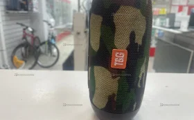 Купить Колонка  T&G б/у , в Санкт-Петербург Цена:490рублей