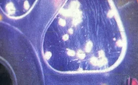 Купить гирлянда шторы колокольчики б/у , в Москва и область Цена:390рублей