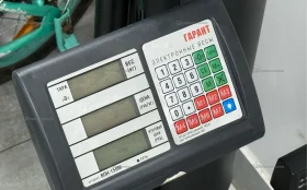 Купить Весы Гарант ВПН-150М б/у , в Челябинск Цена:2500рублей