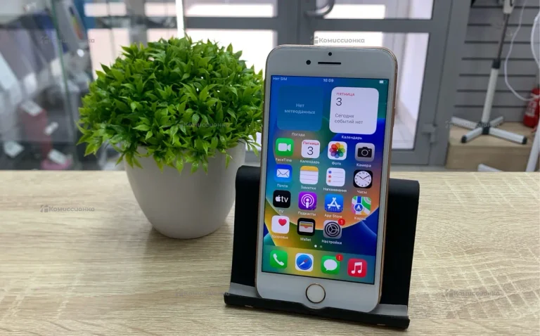 Apple iPhone 8 2/64 ГБ