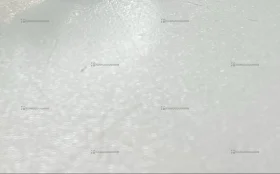 Apple iPhone XS Max 4/64 ГБ