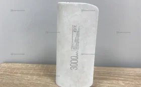 Power Bank  Forza 3000