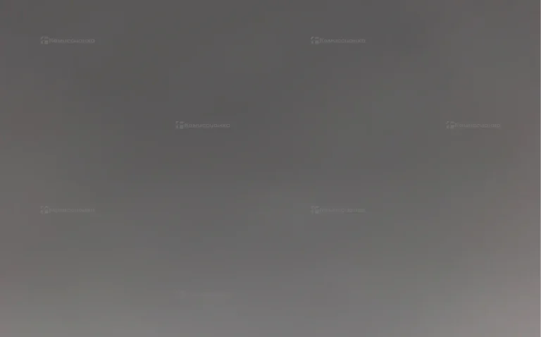 OnePlus 10R 8/256