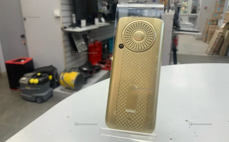 Maxvi p10