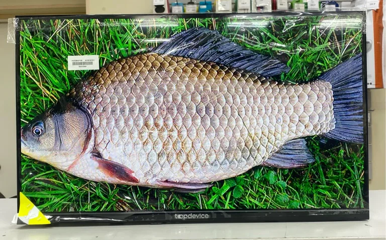Телевизор Topdevice TDTV24CN04H