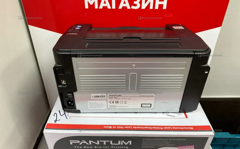 Pantum Принтер лазерный Pantum P2516