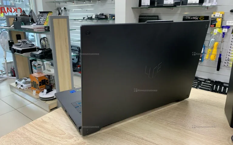 Ноутбук ASUS Gaming F17 FX707ZC4