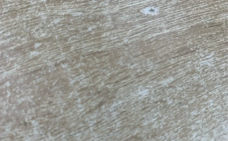 Iqos duos 3