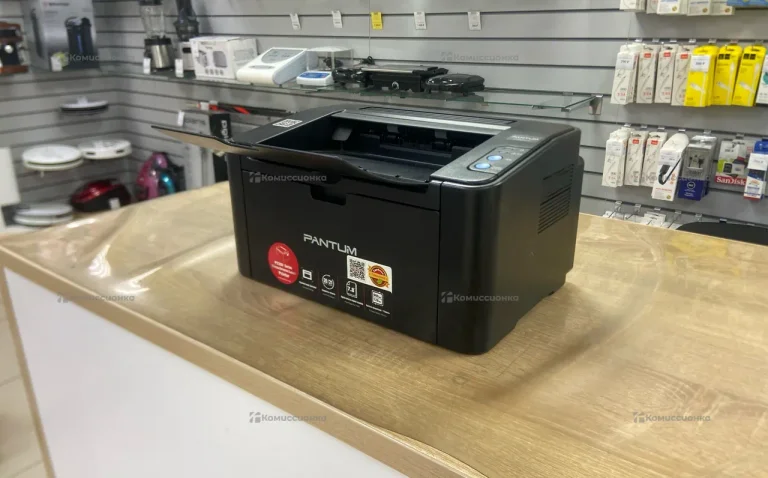 Pantum P2207