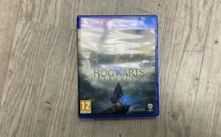 Диск на PS4 Hogwarts Legacy