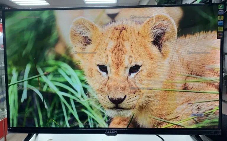 Телевизор Alzon 32 WebOS (2)