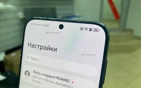 Huawei Pura 70 12/256