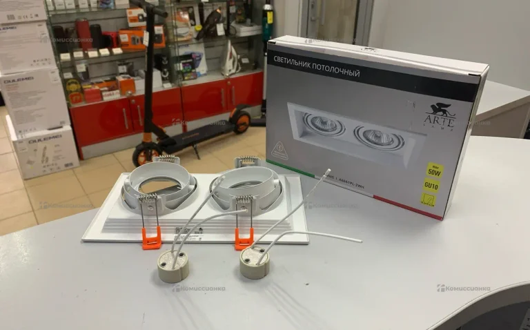 Светильник потолочный Arte Lamp Canis A66661PL-2W