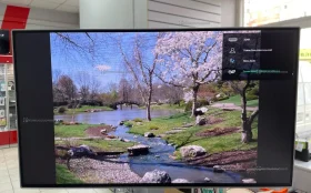 Монитор LG24MP88HV