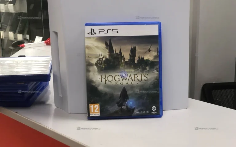 PS5 Hogwarts Legacy