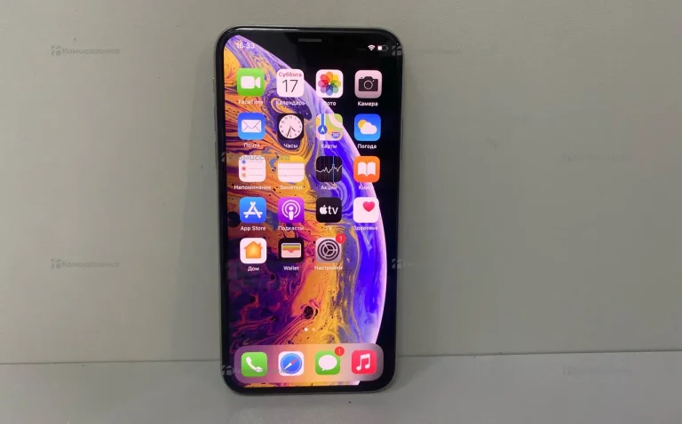 Apple iPhone XS 4/64 ГБ