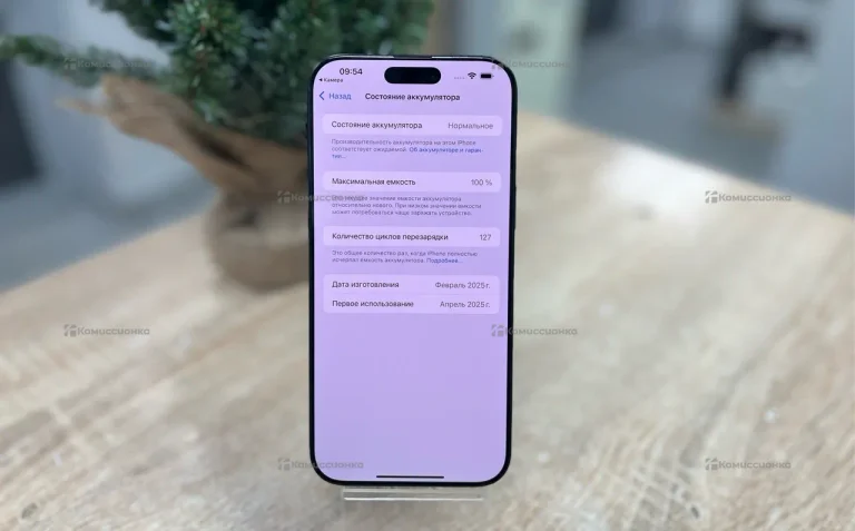 Apple iPhone 16 Pro Max 8/256 ГБ