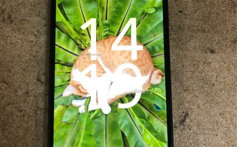 Xiaomi Redmi A3x 3/64Gb