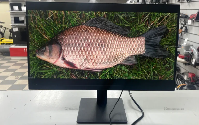 Монитор Xiaomi V22FAB-RA